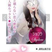 ヒメ日記 2026/03/31 09:34 投稿 Shokora/しょこら プロフィール加古川