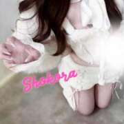 ヒメ日記 2025/10/31 11:00 投稿 Shokora/しょこら プロフィール姫路