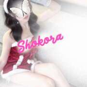 ヒメ日記 2025/12/13 09:00 投稿 Shokora/しょこら プロフィール姫路