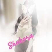 ヒメ日記 2025/12/22 09:00 投稿 Shokora/しょこら プロフィール姫路