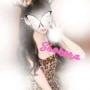 ヒメ日記 2025/12/26 13:00 投稿 Shokora/しょこら プロフィール姫路