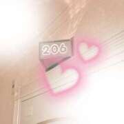 ヒメ日記 2025/12/30 14:03 投稿 Shokora/しょこら プロフィール姫路