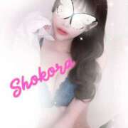 ヒメ日記 2026/01/21 09:28 投稿 Shokora/しょこら プロフィール姫路