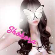 ヒメ日記 2026/02/03 09:26 投稿 Shokora/しょこら プロフィール姫路