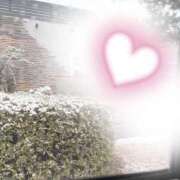 ヒメ日記 2026/02/08 13:10 投稿 Shokora/しょこら プロフィール姫路