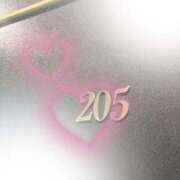 ヒメ日記 2026/02/20 12:21 投稿 Shokora/しょこら プロフィール姫路