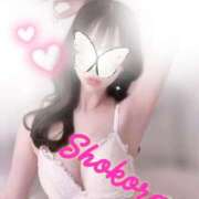 ヒメ日記 2026/03/19 15:20 投稿 Shokora/しょこら プロフィール姫路