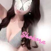 ヒメ日記 2026/03/29 09:26 投稿 Shokora/しょこら プロフィール姫路