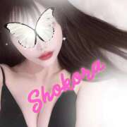 ヒメ日記 2026/05/29 12:57 投稿 Shokora/しょこら プロフィール姫路