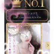 ヒメ日記 2026/10/01 13:29 投稿 Shokora/しょこら プロフィール姫路