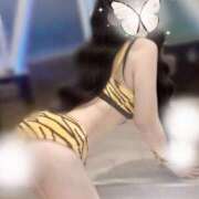 ヒメ日記 2025/10/11 14:32 投稿 Shokora/ショコラ ギャルズネットワーク 姫路