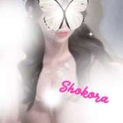 ヒメ日記 2026/01/13 11:16 投稿 Shokora/ショコラ ギャルズネットワーク 姫路