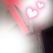 ヒメ日記 2026/02/19 12:12 投稿 Shokora/ショコラ ギャルズネットワーク 姫路