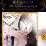 ヒメ日記 2026/06/01 05:52 投稿 Shokora/ショコラ ギャルズネットワーク 姫路