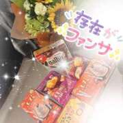 ヒメ日記 2026/09/16 12:50 投稿 Shokora/ショコラ ギャルズネットワーク 姫路