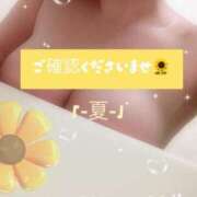 ヒメ日記 2025/08/16 17:36 投稿 なつ 吉原ファーストレディ