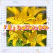 ヒメ日記 2025/08/20 18:56 投稿 なつ 吉原ファーストレディ