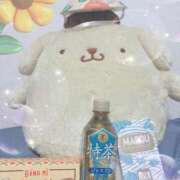 ヒメ日記 2025/11/22 17:28 投稿 なつ 吉原ファーストレディ