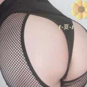 ヒメ日記 2025/12/07 12:06 投稿 なつ 吉原ファーストレディ