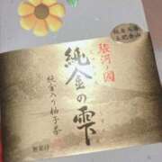 ヒメ日記 2025/12/21 13:16 投稿 なつ 吉原ファーストレディ