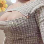 ヒメ日記 2026/01/31 19:16 投稿 なつ 吉原ファーストレディ