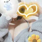 ヒメ日記 2026/03/25 21:06 投稿 なつ 吉原ファーストレディ