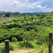 ヒメ日記 2024/12/25 23:52 投稿 よしの 奥様の実話 梅田店