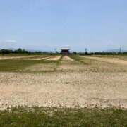 ヒメ日記 2025/01/21 22:59 投稿 よしの 奥様の実話 梅田店