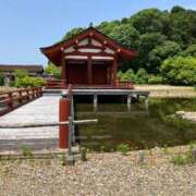 ヒメ日記 2025/03/01 22:27 投稿 よしの 奥様の実話 梅田店