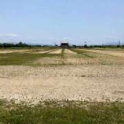 ヒメ日記 2025/03/08 23:20 投稿 よしの 奥様の実話 梅田店