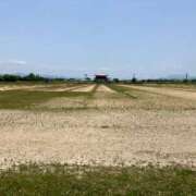 ヒメ日記 2025/05/14 21:47 投稿 よしの 奥様の実話 梅田店