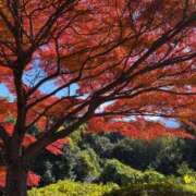 よしの こんばんは 奥様の実話 梅田店