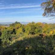 ヒメ日記 2026/02/12 20:04 投稿 よしの 奥様の実話 梅田店