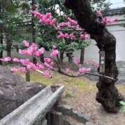 よしの よしのです 奥様の実話 梅田店