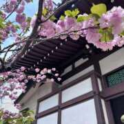 ヒメ日記 2026/04/14 21:27 投稿 よしの 奥様の実話 梅田店