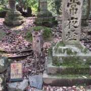 ヒメ日記 2026/08/18 20:53 投稿 よしの 奥様の実話 梅田店