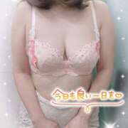 ヒメ日記 2026/09/14 08:01 投稿 りか 奥様の実話 梅田店