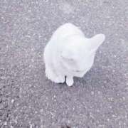 ヒメ日記 2025/09/18 21:15 投稿 るる シークレットクラブ