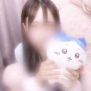 るる はちわれ！ シークレットクラブ