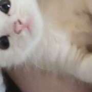 なゆ ^ ﾜｸ.  ﾌｫ .ﾜｸ ^笙｡ シークレットクラブ