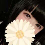 ヒメ日記 2025/07/11 15:02 投稿 いおり 水戸ソープランド　水戸スリーナイン(9990)