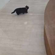 ヒメ日記 2025/10/30 11:01 投稿 いおり 水戸ソープランド　水戸スリーナイン(9990)