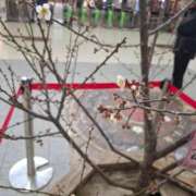 いおり ありがとうございます♡ 水戸ソープランド　水戸スリーナイン(9990)