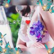 ヒメ日記 2025/08/09 08:05 投稿 冴島　れいか 川崎南町人妻高級ソープ エル・カーヒル(ELCURHIL)秘密の刻