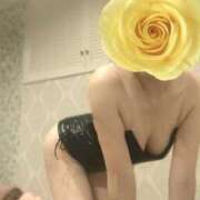 ヒメ日記 2025/11/01 07:30 投稿 冴島　れいか 川崎南町人妻高級ソープ エル・カーヒル(ELCURHIL)秘密の刻