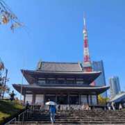 ヒメ日記 2025/11/15 06:47 投稿 冴島　れいか 川崎南町人妻高級ソープ エル・カーヒル(ELCURHIL)秘密の刻