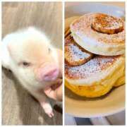 ヒメ日記 2025/12/01 06:30 投稿 冴島　れいか 川崎南町人妻高級ソープ エル・カーヒル(ELCURHIL)秘密の刻