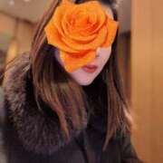 ヒメ日記 2026/01/23 07:25 投稿 冴島　れいか 川崎南町人妻高級ソープ エル・カーヒル(ELCURHIL)秘密の刻