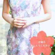 ヒメ日記 2026/04/12 06:56 投稿 冴島　れいか 川崎南町人妻高級ソープ エル・カーヒル(ELCURHIL)秘密の刻
