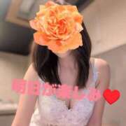 ヒメ日記 2026/04/20 08:15 投稿 冴島　れいか 川崎南町人妻高級ソープ エル・カーヒル(ELCURHIL)秘密の刻